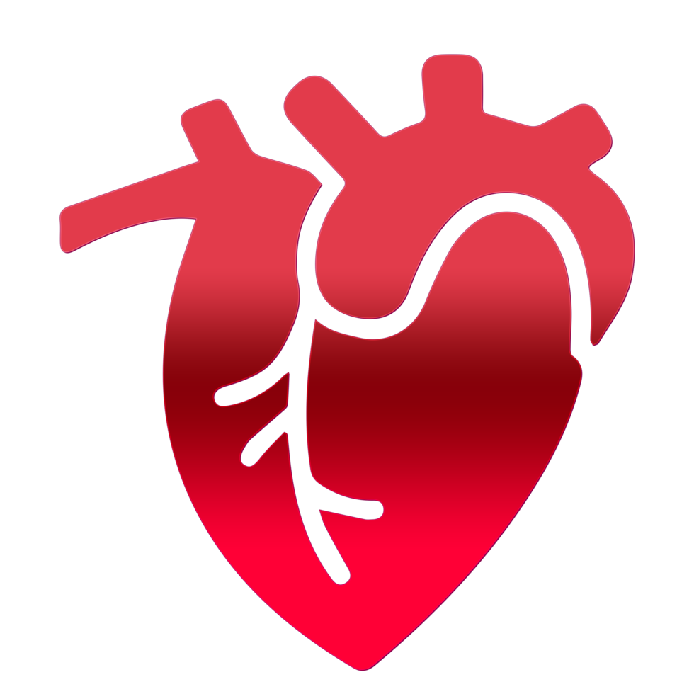Human Heart Png Pngs For Free Download