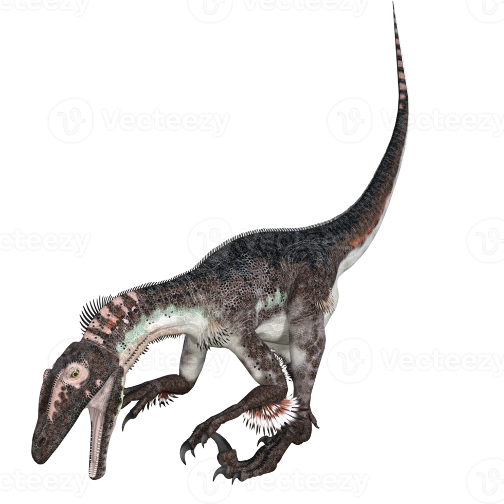Utahraptor dinosaur isolated 3d render png