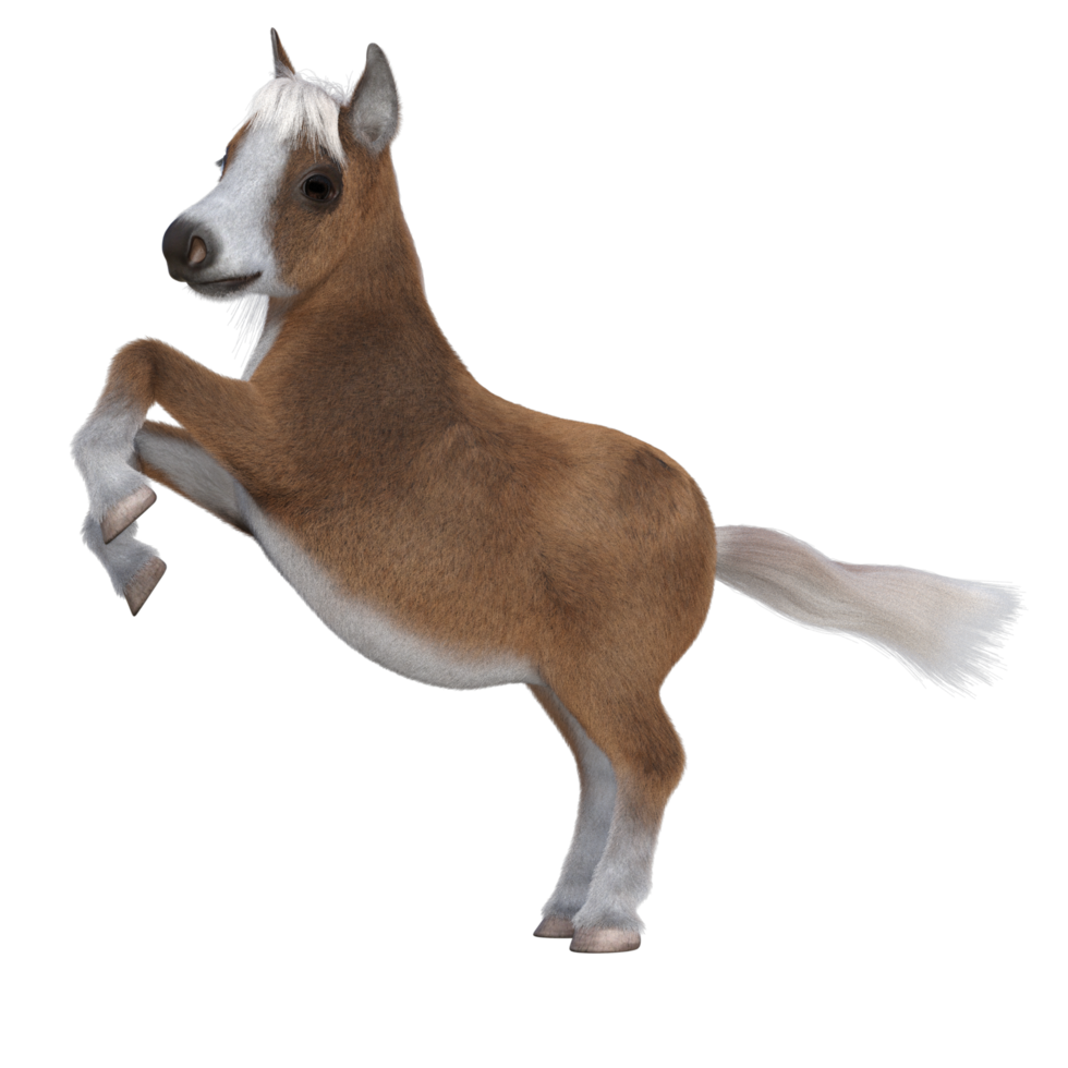 Cute horse isolated 3d rendering png