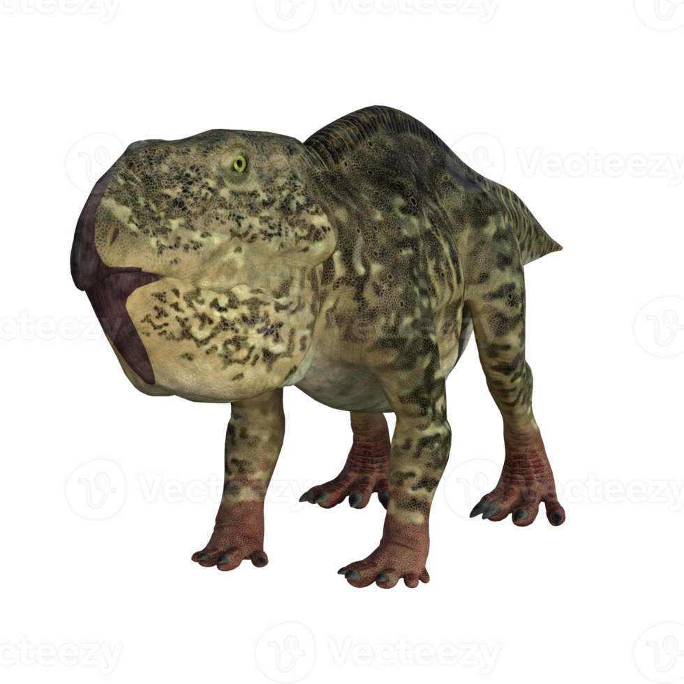 udanoceratops dinosaure isolé 3d rendre png
