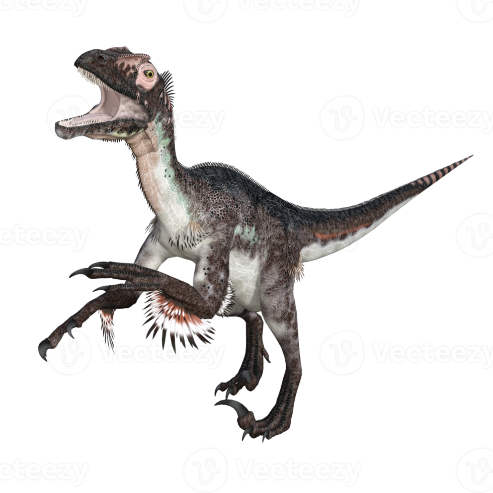 Utahraptor dinosaur isolated 3d render png