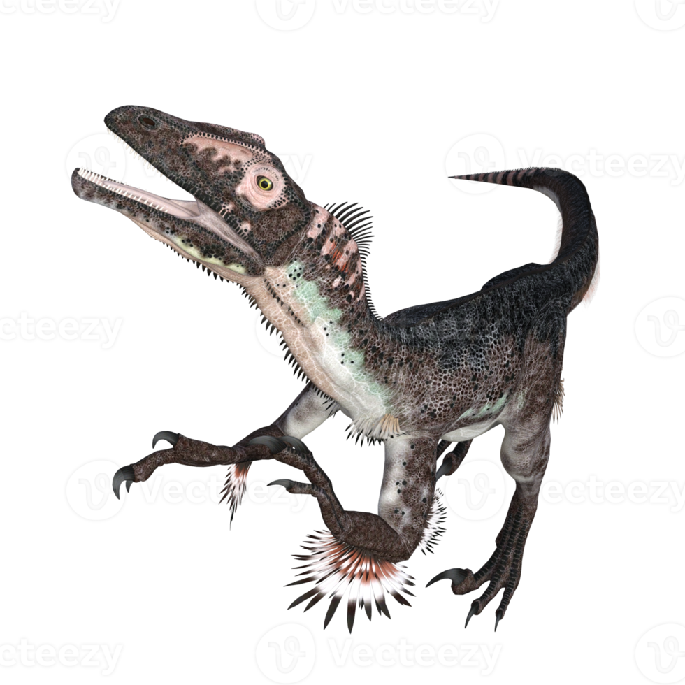 Utahraptor dinosaur isolated 3d render png