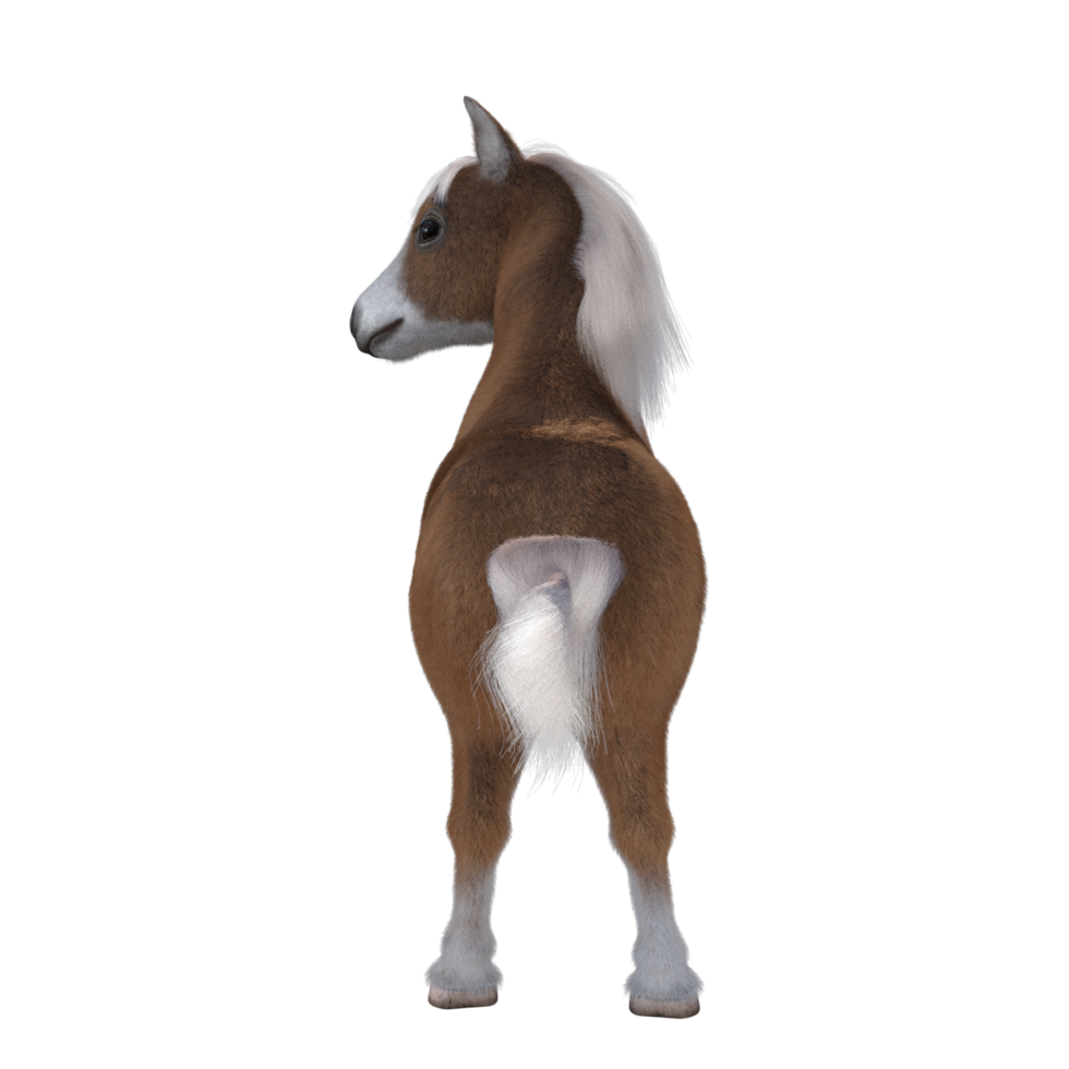 Cute horse isolated 3d rendering png