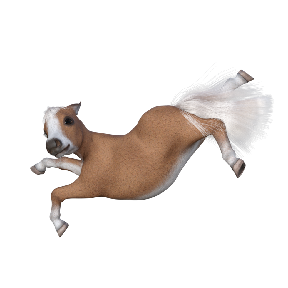 Cute horse isolated 3d rendering png