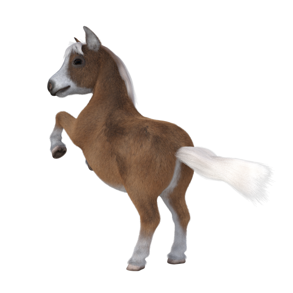 Cute horse isolated 3d rendering png