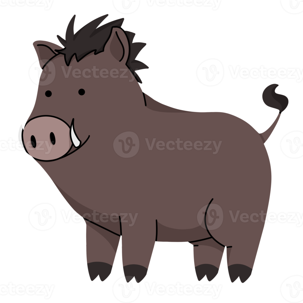 wild boar cute illustration png