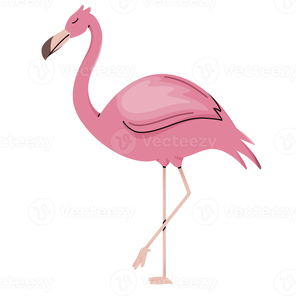 flamingo cute illustration png