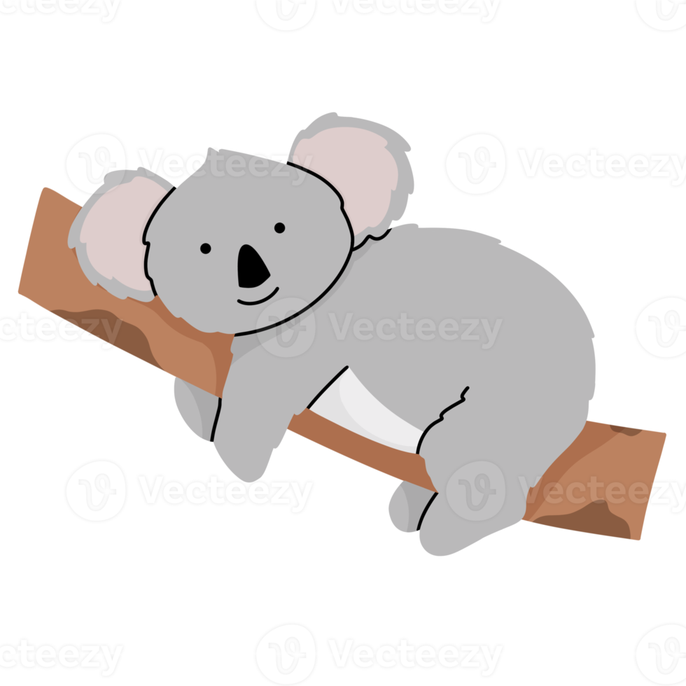 Koala süß Illustration png