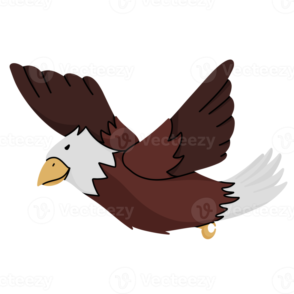 hawk cute illustration png