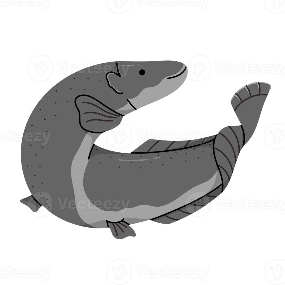 arapaima cute illustration png