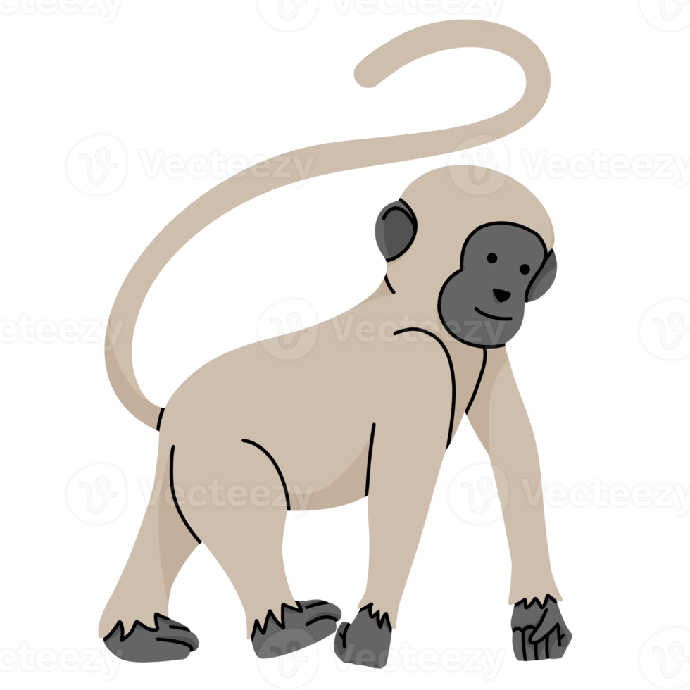 Macaco Desenho Animado Ilustração De Animal Colorido Vida Selvagem Desenho  Cauda Vetor PNG , Animais Selvagens, Desenho, Rabo Imagem PNG e Vetor Para  Download Gratuito