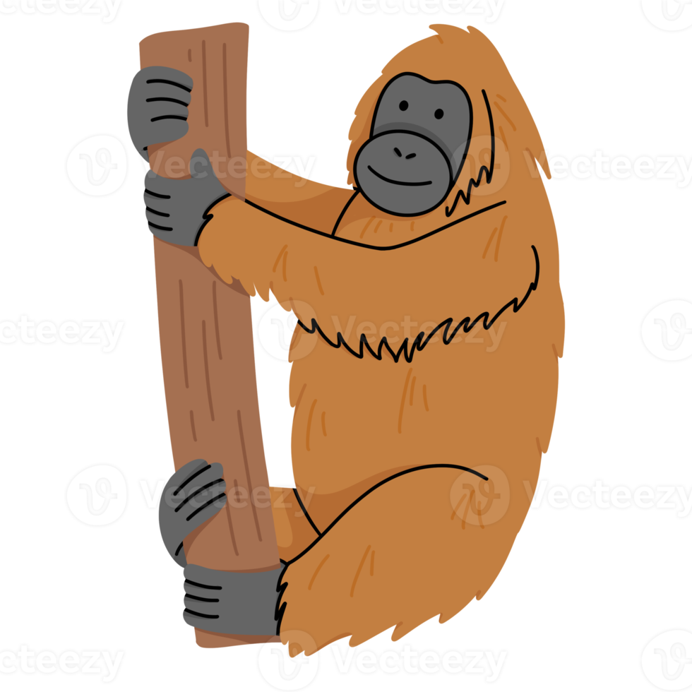 orangutang söt illustration png