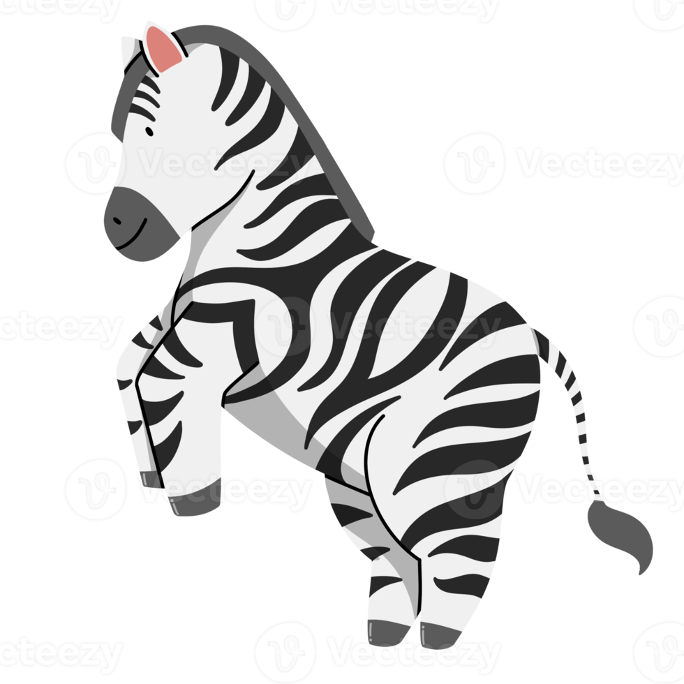 zebra fofa ilustração png