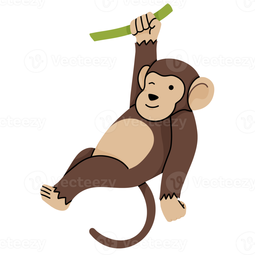 monkey cute illustration png