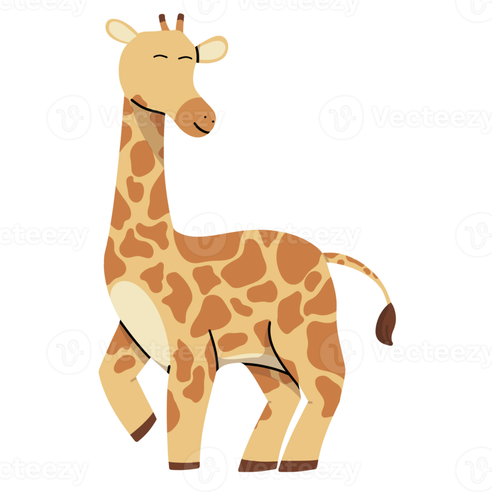 giraffe cute illustration png