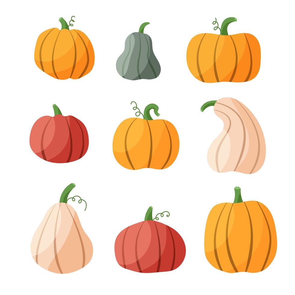 Pumpkin autumn hand drawn set. Thanksgiving and Halloween Elements. Green, yellow, orange and white pumpkins different size and shape isolated on a white background vector