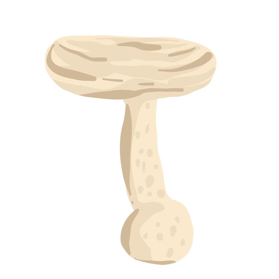 mushrooms in the hand drawing style. Psychedelic abstract mushrooms, hippie style. Vector illustration isolated on a white background.