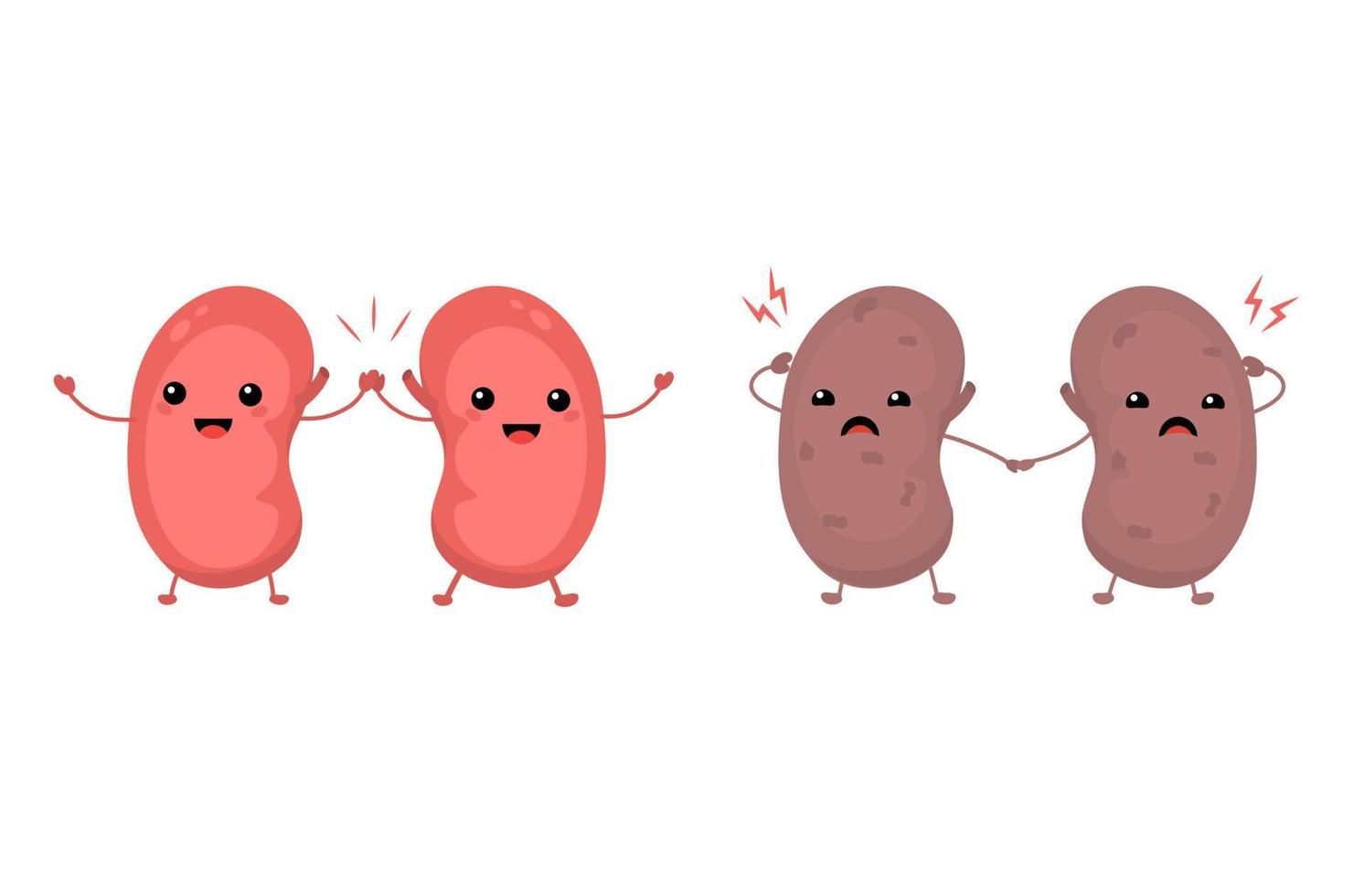 Characters of sad and happy kidneys. Vector illustration