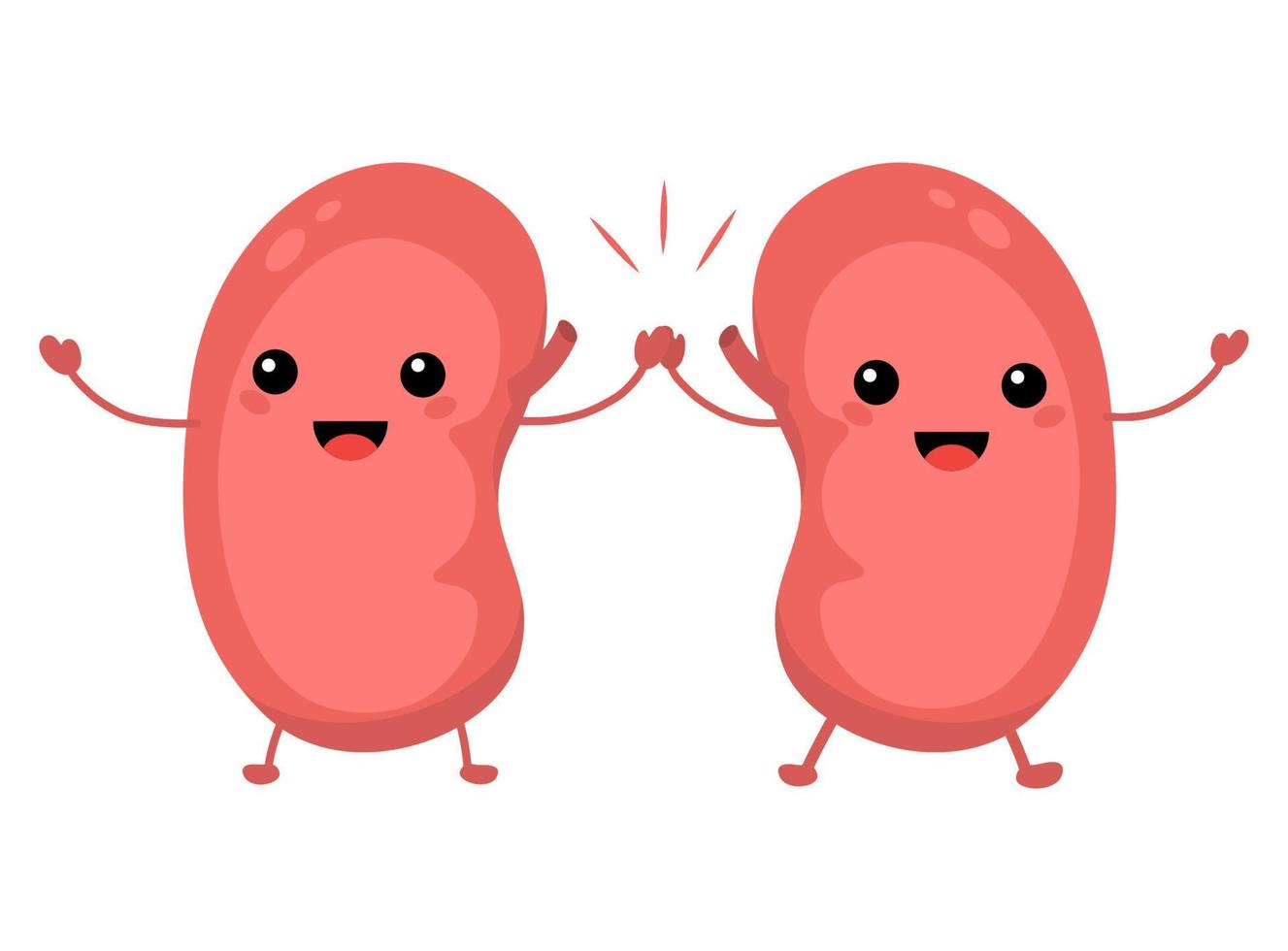 Characters of sad and happy kidneys. Vector illustration