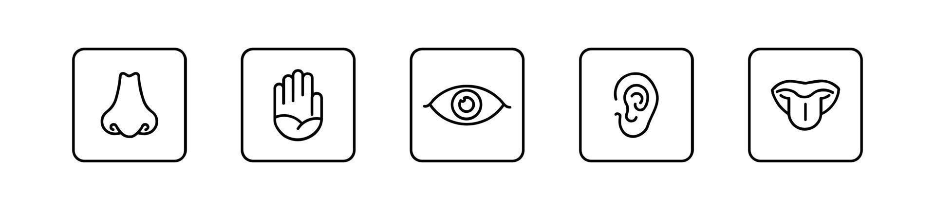 Human senses icon. vector