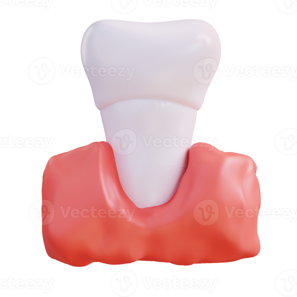 3d illustration of teeth and gums png