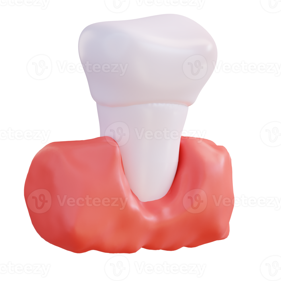 3d illustration of teeth and gums png