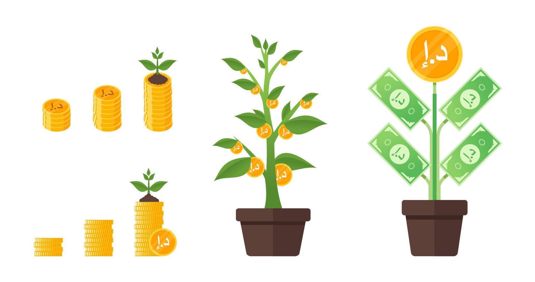 United Arab Emirates Dirham Money Tree Growing vector