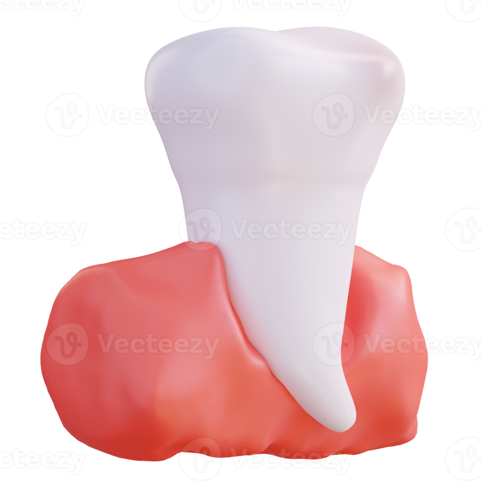 3d ilustração do dentes e gengivas png