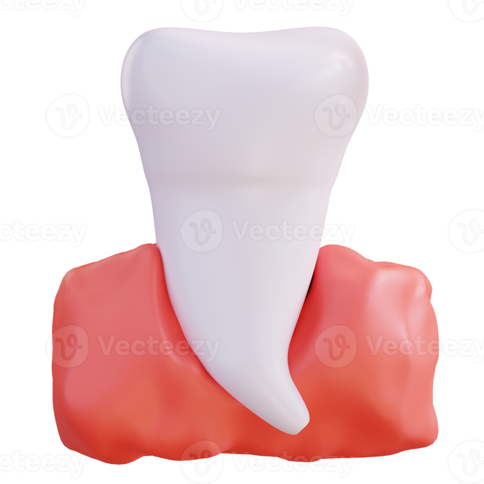 3d illustration of teeth and gums png