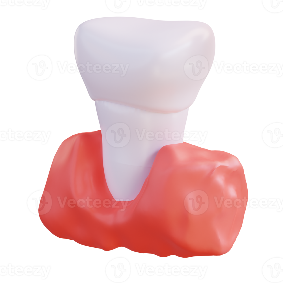 3d illustration of teeth and gums png