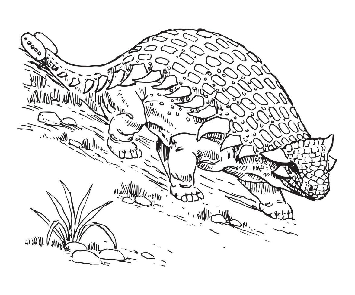 Vector illustration of dinosaurs line art. Suitable for coloring book and coloring pages, etc
