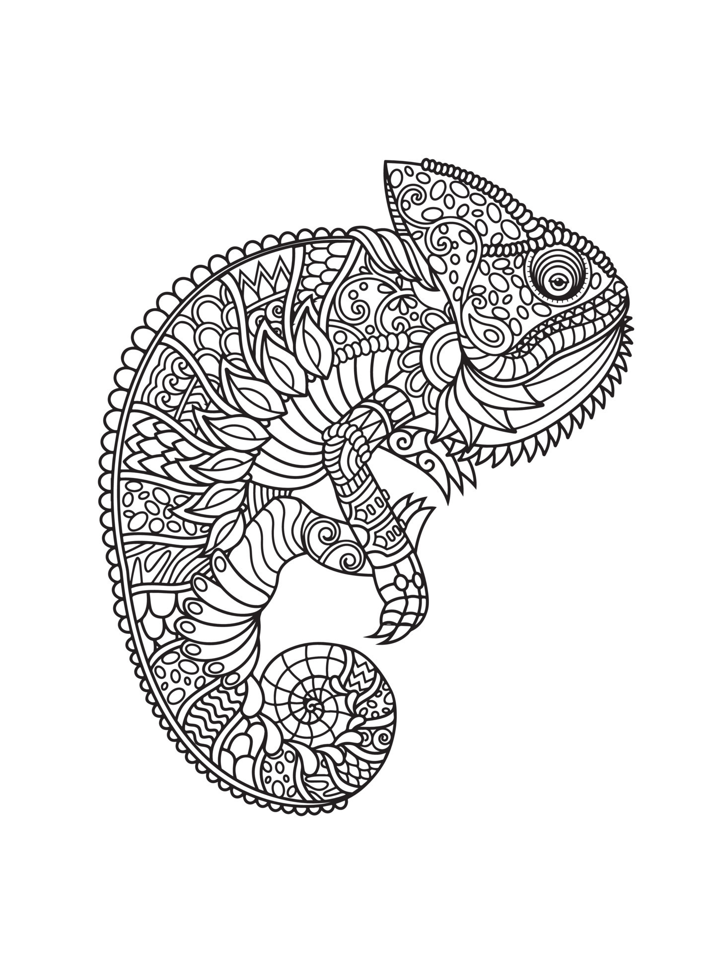 Chameleon Coloring Book for Adults Vector Stock Vector - Illustration of  decor, black: 79389791