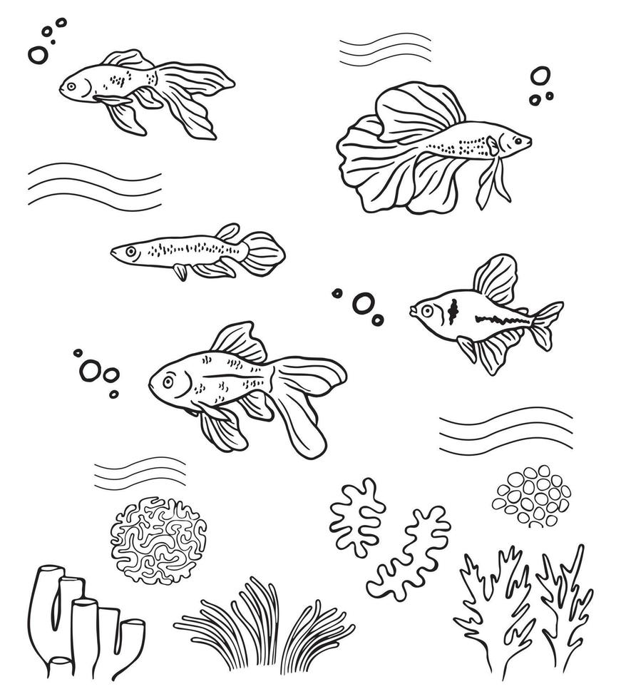 Vector illustration of fishes and coral reefs line art. Suitable for coloring book and coloring pages