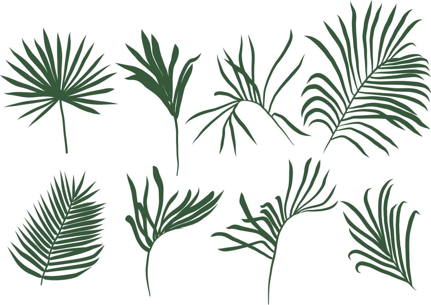 Palm leaves silhouette collection vector illustration. Tropical palm trees silhouette isolated on white background.