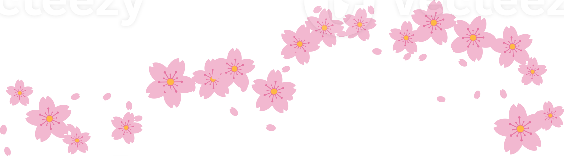 hermosa rosado sakura Cereza florecer ilustración. png