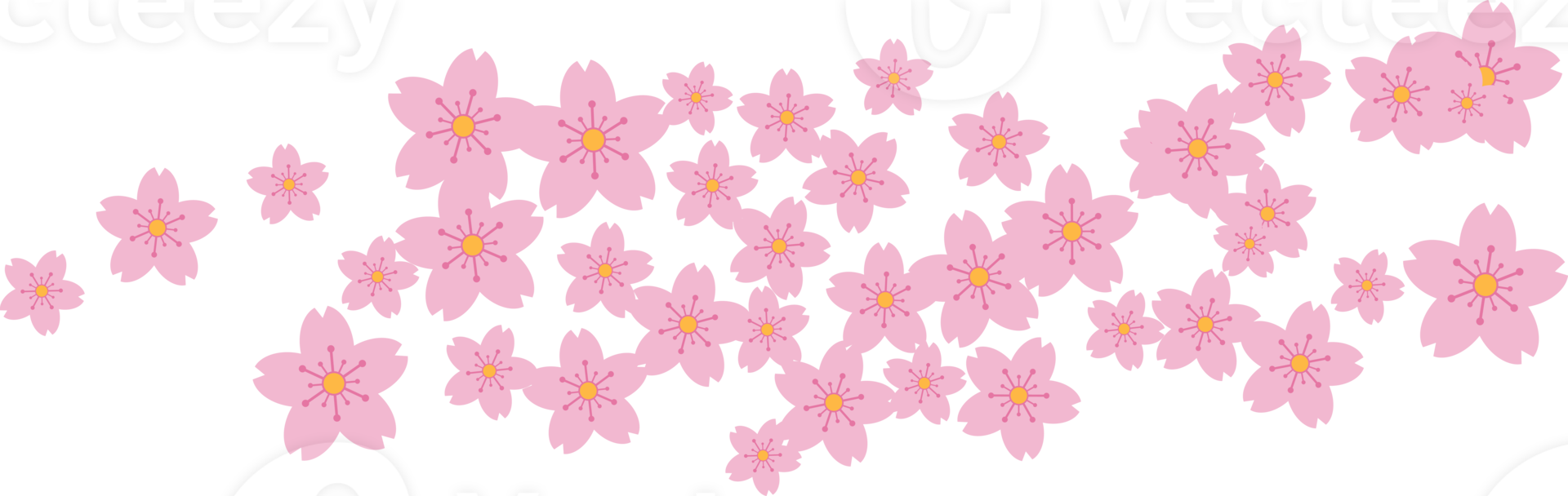 Beautiful pink Sakura Cherry Blossom illustration. png