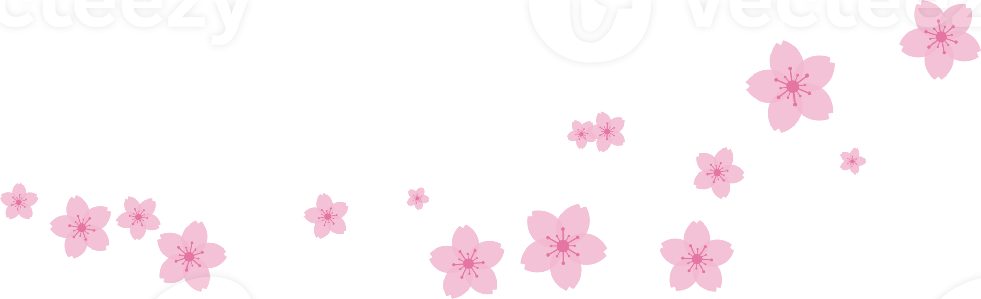 skön rosa sakura körsbär blomma illustration. png