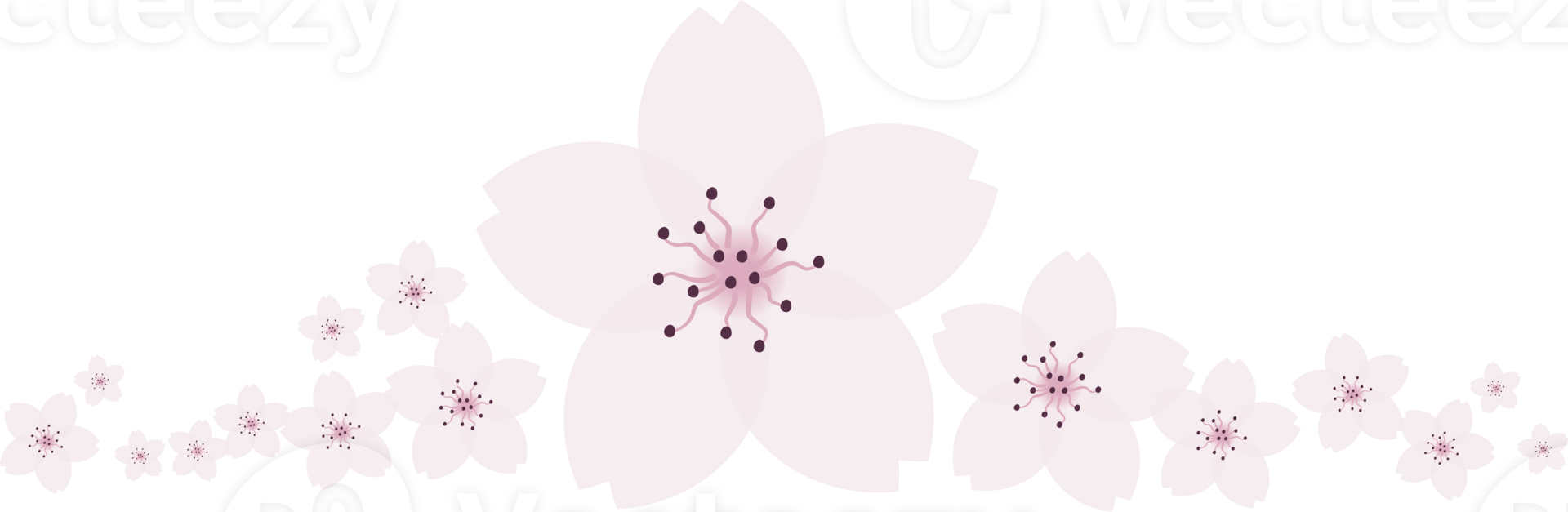 magnifique rose Sakura Cerise fleur illustration. png