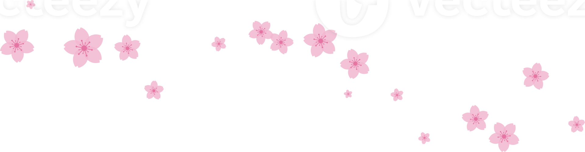 lindo Rosa sakura cereja Flor ilustração. png