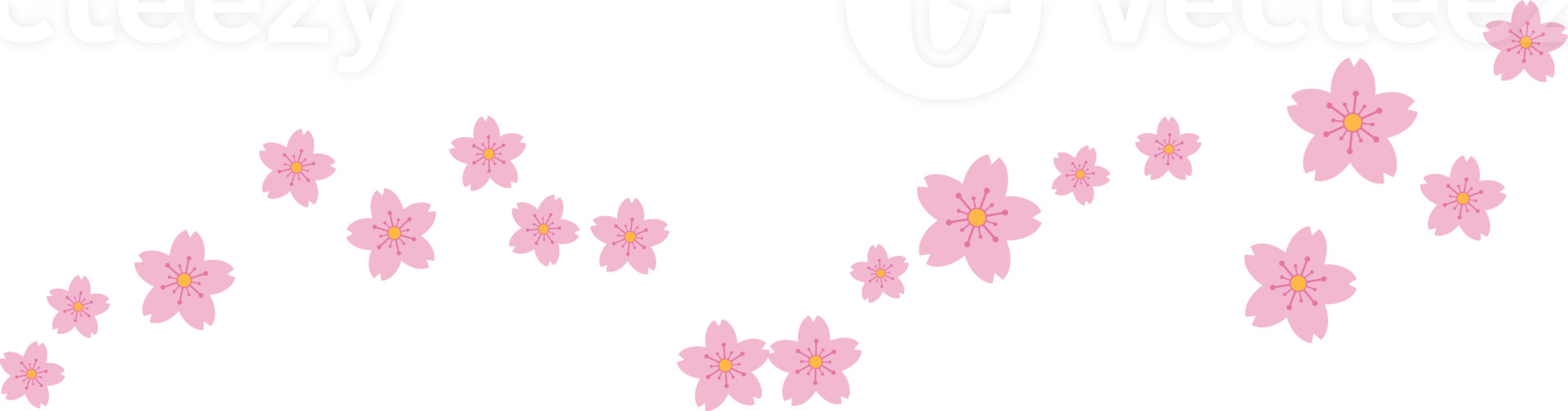 hermosa rosado sakura Cereza florecer ilustración. png