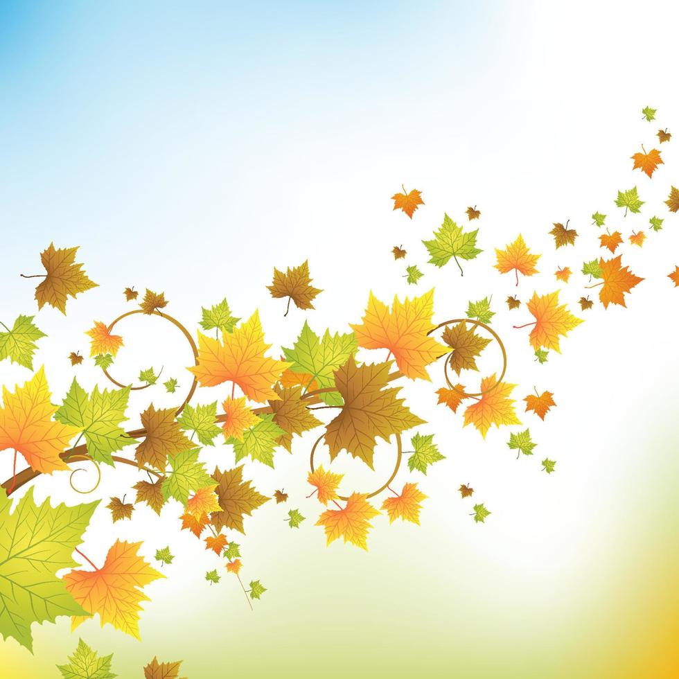 Autumn maple leaves  background vector