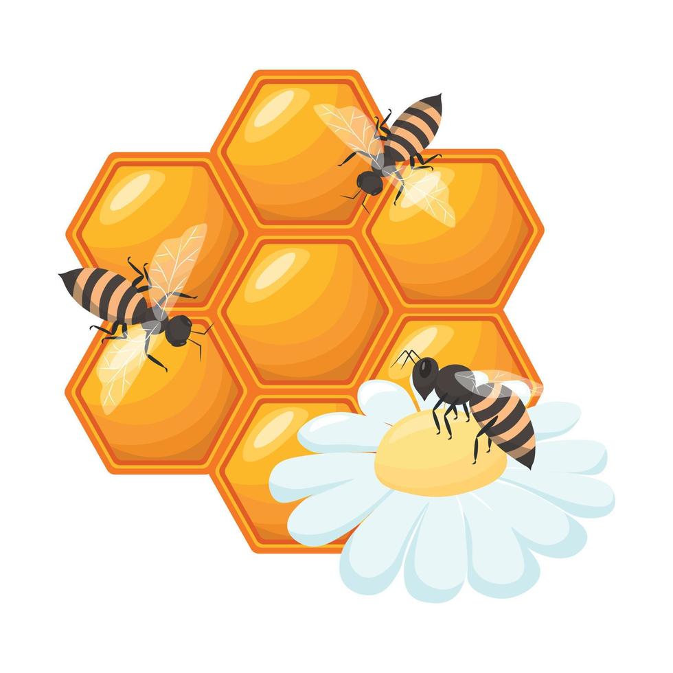 honeycombs with honey and bees. illustration in flat style vector