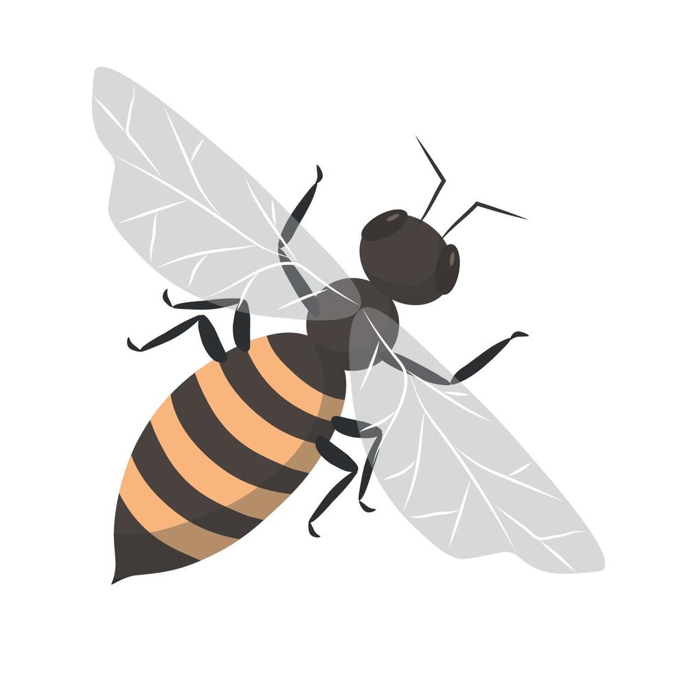 bee icon in flat style. Vector animal illustration of a honey bee on a white background.