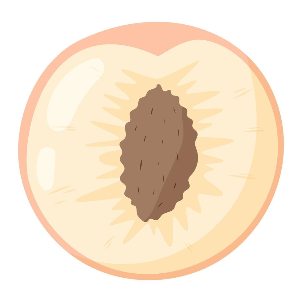 Half of a cut ripe Peach with pit. Vector isolated cartoon illustration of fruit.