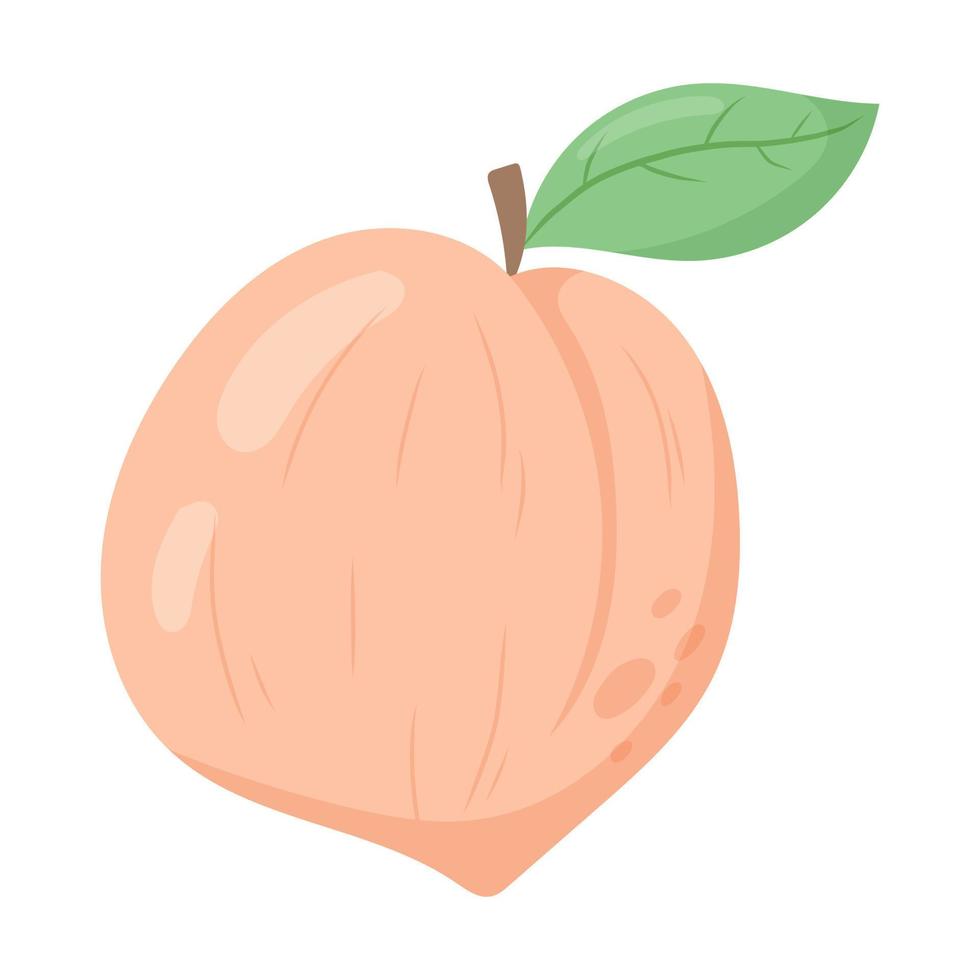 Ripe fresh peach with twig and leaf. Vector isolated flat fruit illustration.
