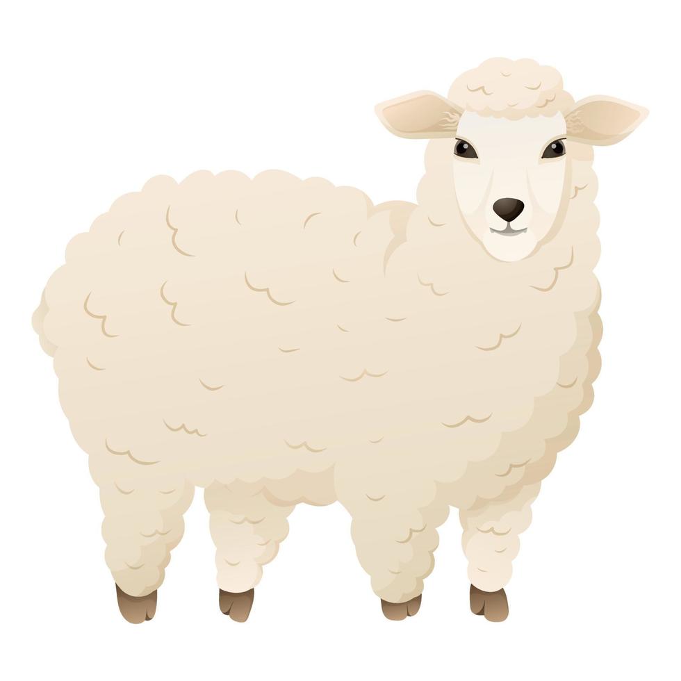 Vector isolated fluffy white sheep. Domestic farm animal.