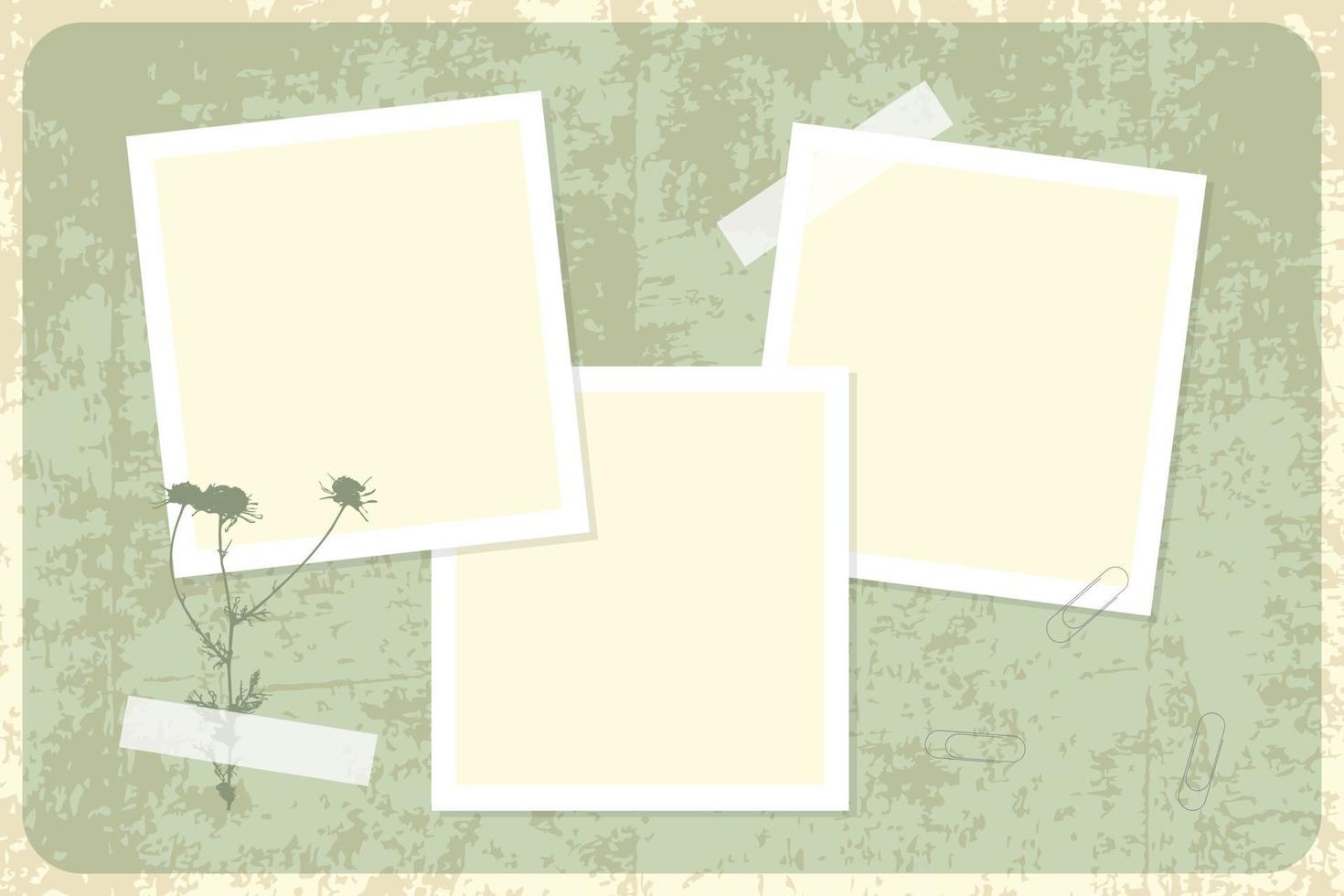 Template for photo collage on vintage background in grunge style. Camomile herbal. vector