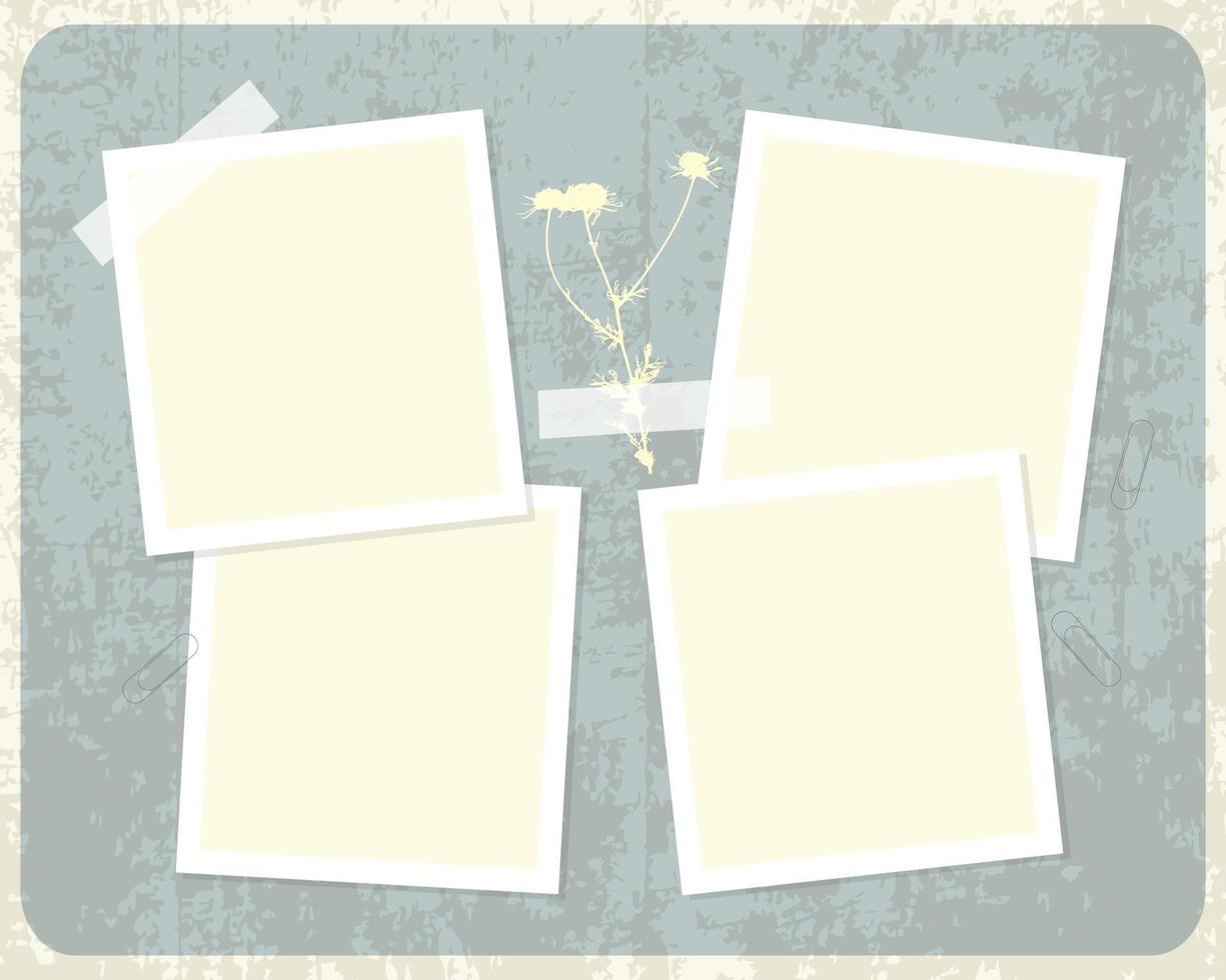 Template for photo collage on vintage background in grunge style. Camomile herbal. vector