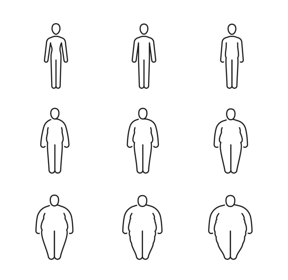 Fat body icons of human obese classification vector