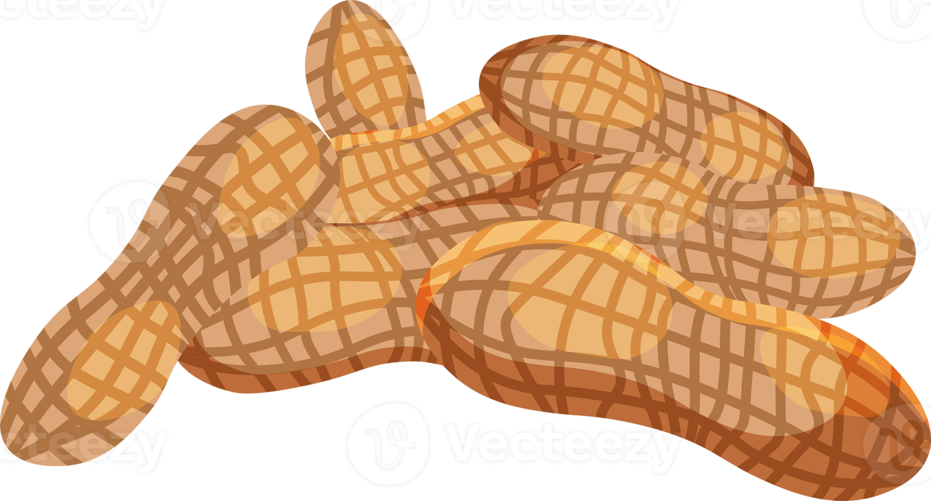 Peanut. Peanut beans isolated. nuts png